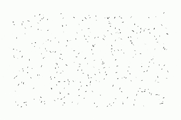walking lines no 1