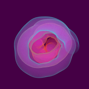 bt16
