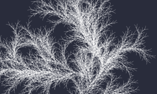 treez #001