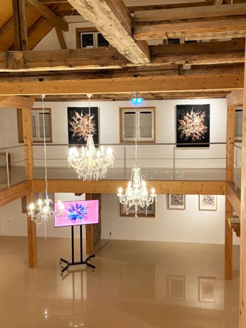 2024_11_21_digitalausstellung_galerieraum2 2024_11_21_digitalausstellung_galerieraum2